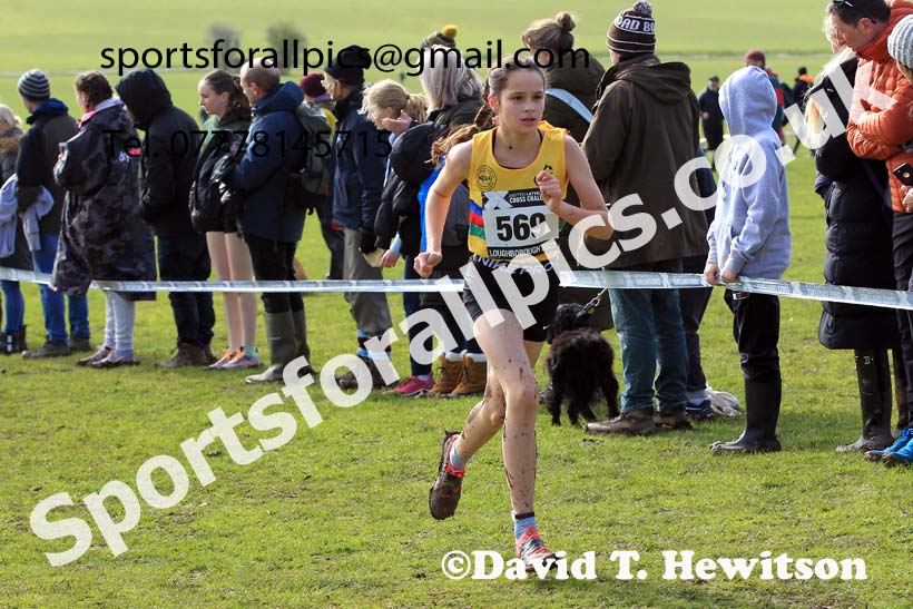 Girls Under-13s 2023 UK CAU Inter Counties Cross Country Champs, Prestwold Hall, Loughborough. Photo: David T. Hewitson/Sports for All Pics